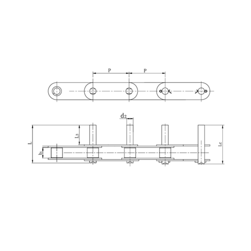 Double pitch conveyor chain na may pinahabang mga pin