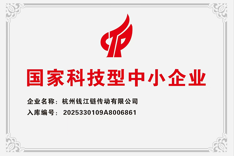 Sertipiko sa Agham at Teknolohiya ng Zhejiang Province Small and Medium Enterprises